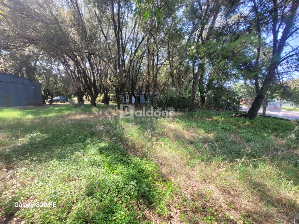 EN VENTA - EXCELENTE PREDIO - CALLE 17 ESQ. 44 - GRAL. PICO