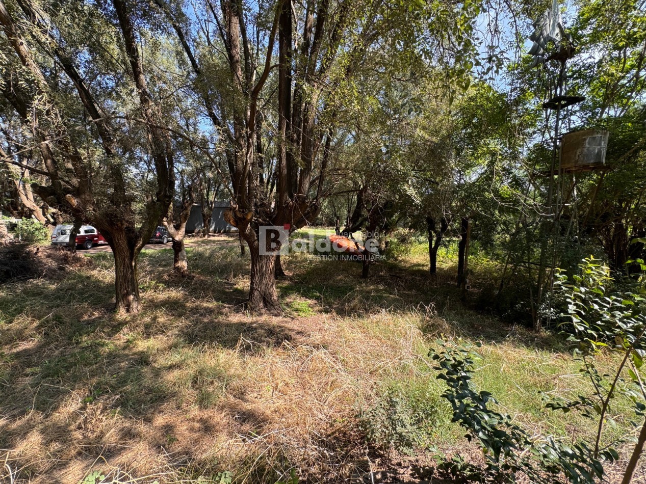 EN VENTA - EXCELENTE PREDIO - CALLE 17 ESQ. 44 - GRAL. PICO