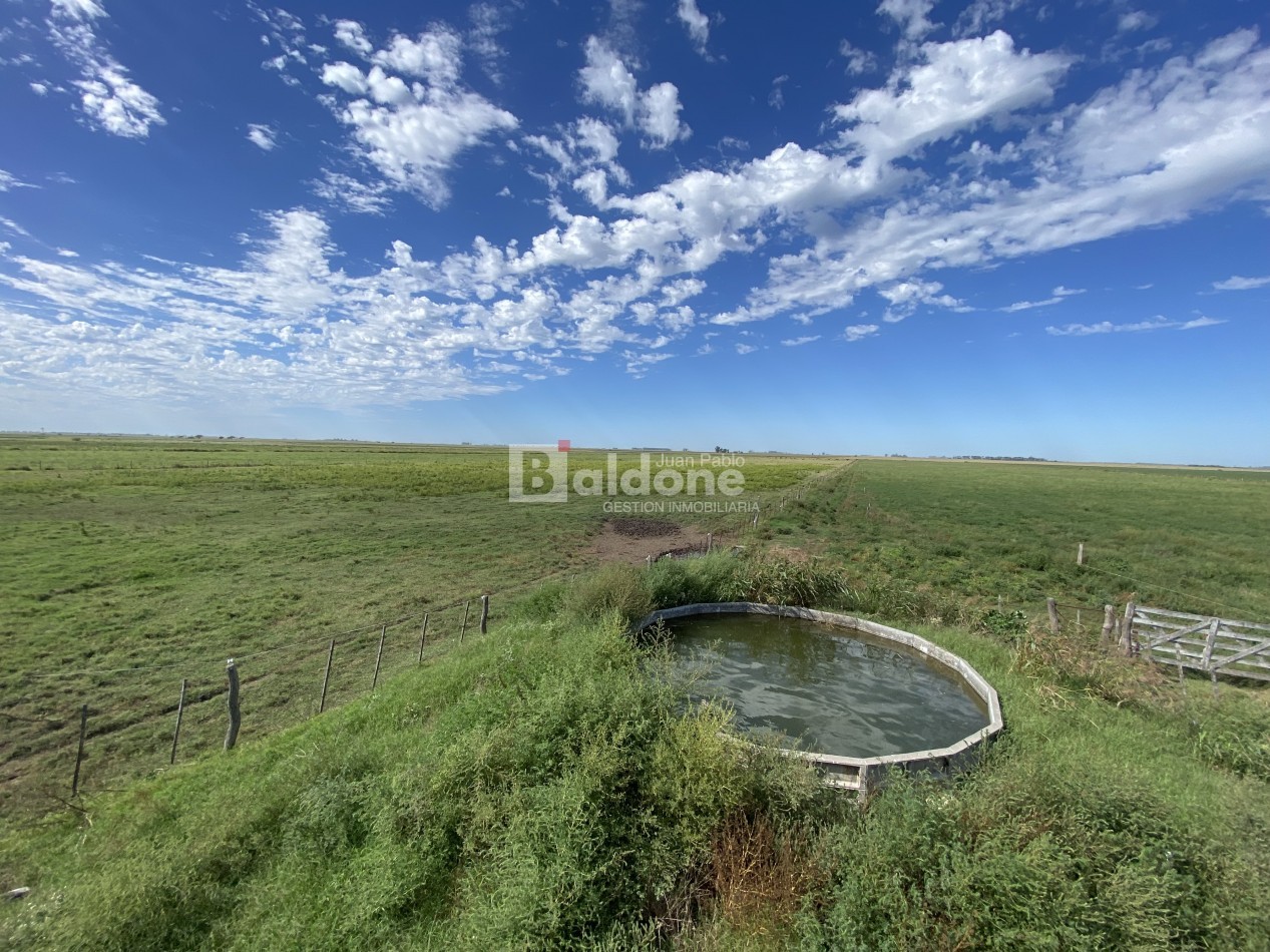 EN VENTA CAMPO 200 HECAREAS - DEPARTAMENTO REALICO - LA PAMPA
