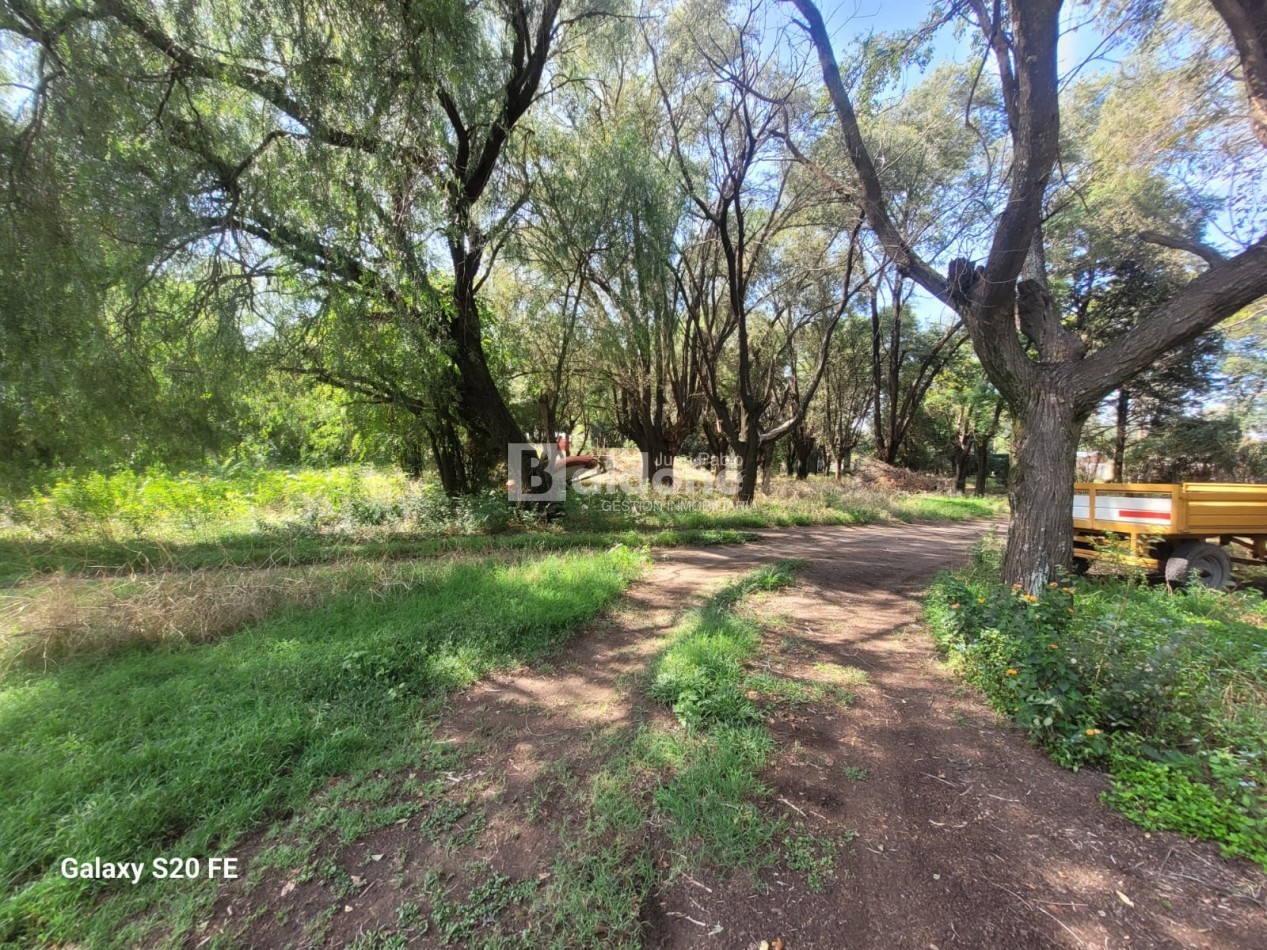 EN VENTA - EXCELENTE PREDIO - CALLE 17 ESQ. 44 - GRAL. PICO