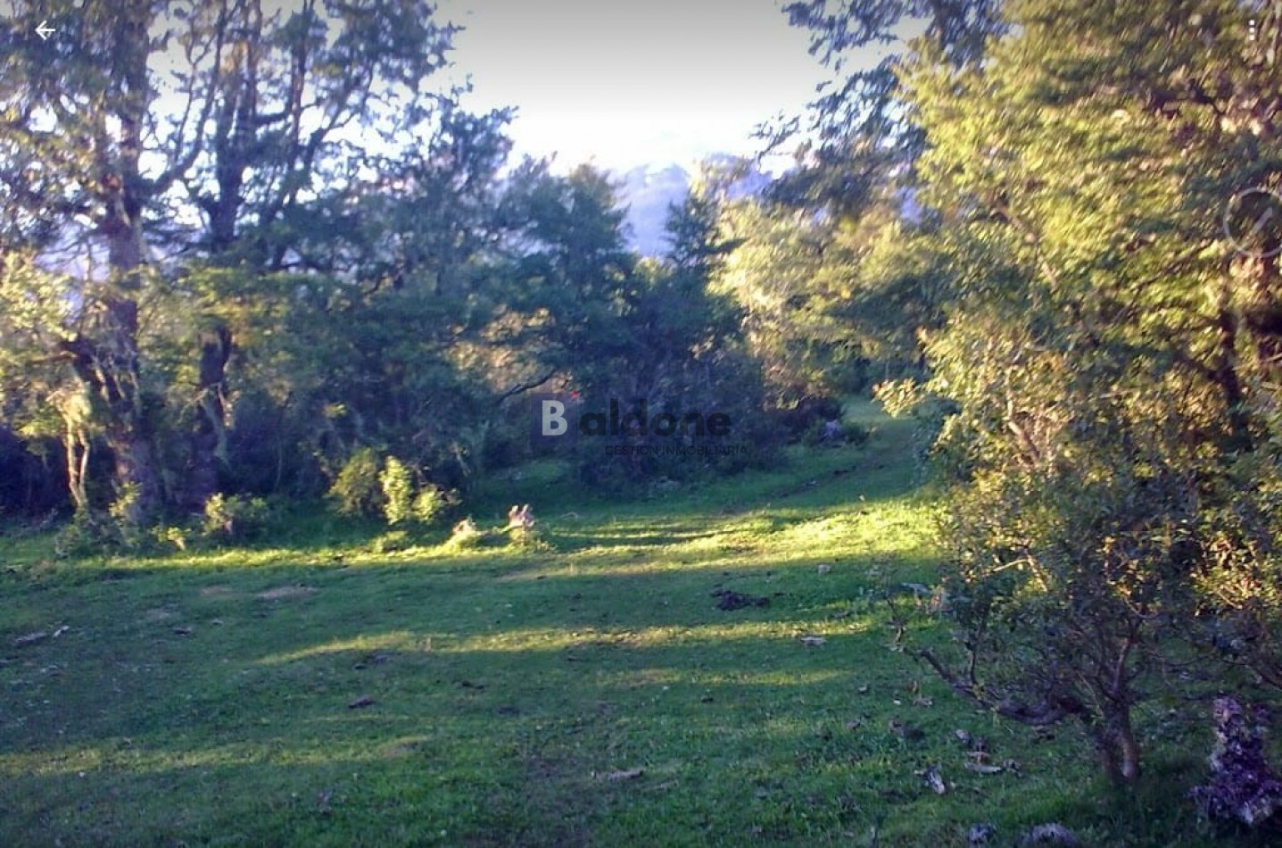 EN VENTA 2,8 HAS - EN Dr. ATILIO VIGLIONE - CHUBUT - OPORTUNIDAD DE INVERSION