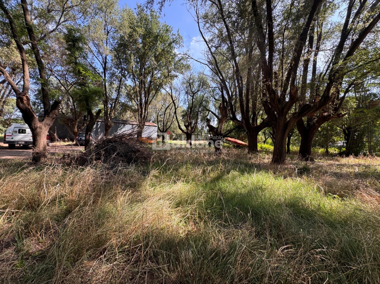 EN VENTA - EXCELENTE PREDIO - CALLE 17 ESQ. 44 - GRAL. PICO