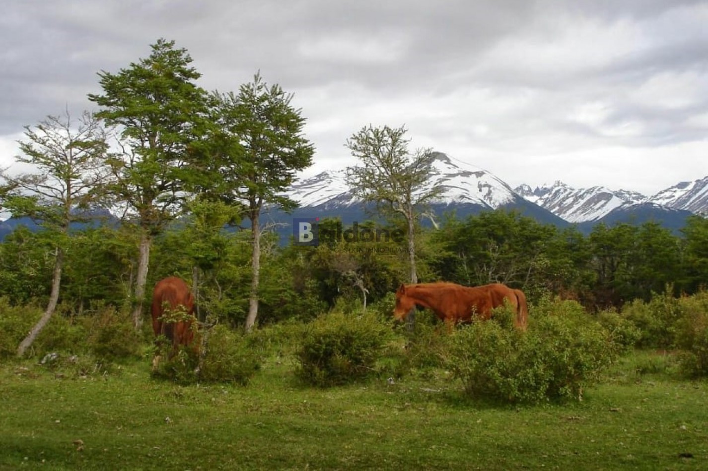 EN VENTA 2,8 HAS - EN Dr. ATILIO VIGLIONE - CHUBUT - OPORTUNIDAD DE INVERSION