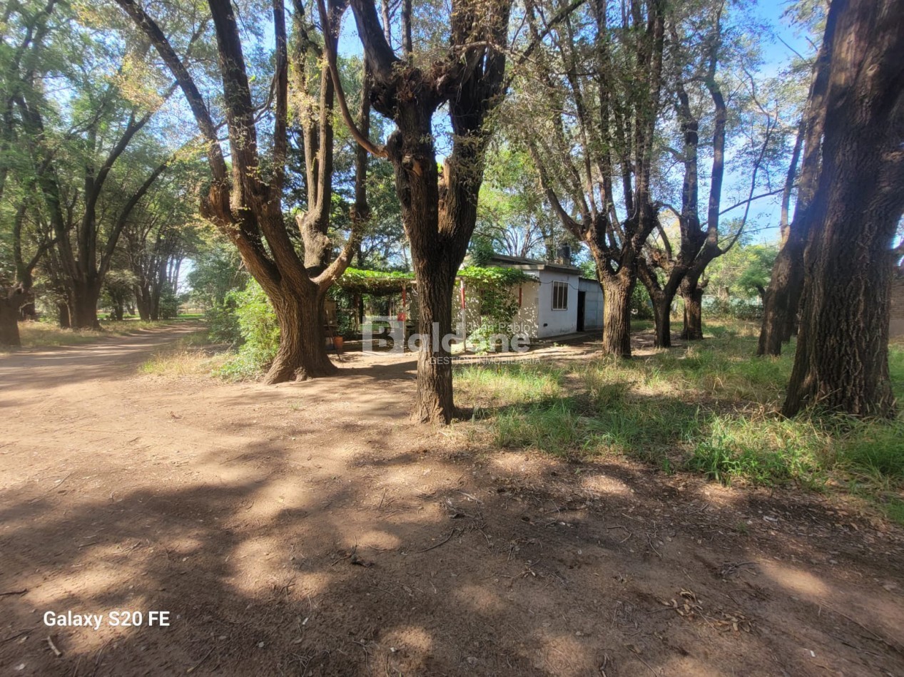 EN VENTA - EXCELENTE PREDIO - CALLE 17 ESQ. 44 - GRAL. PICO